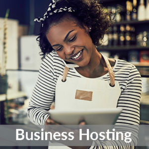 Business Plan Hosting