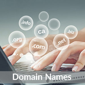 Domain Registration